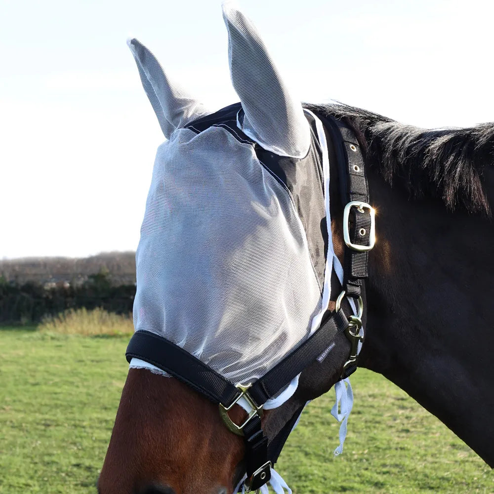 Hy Equestrian Fly Eye & Ear Shield