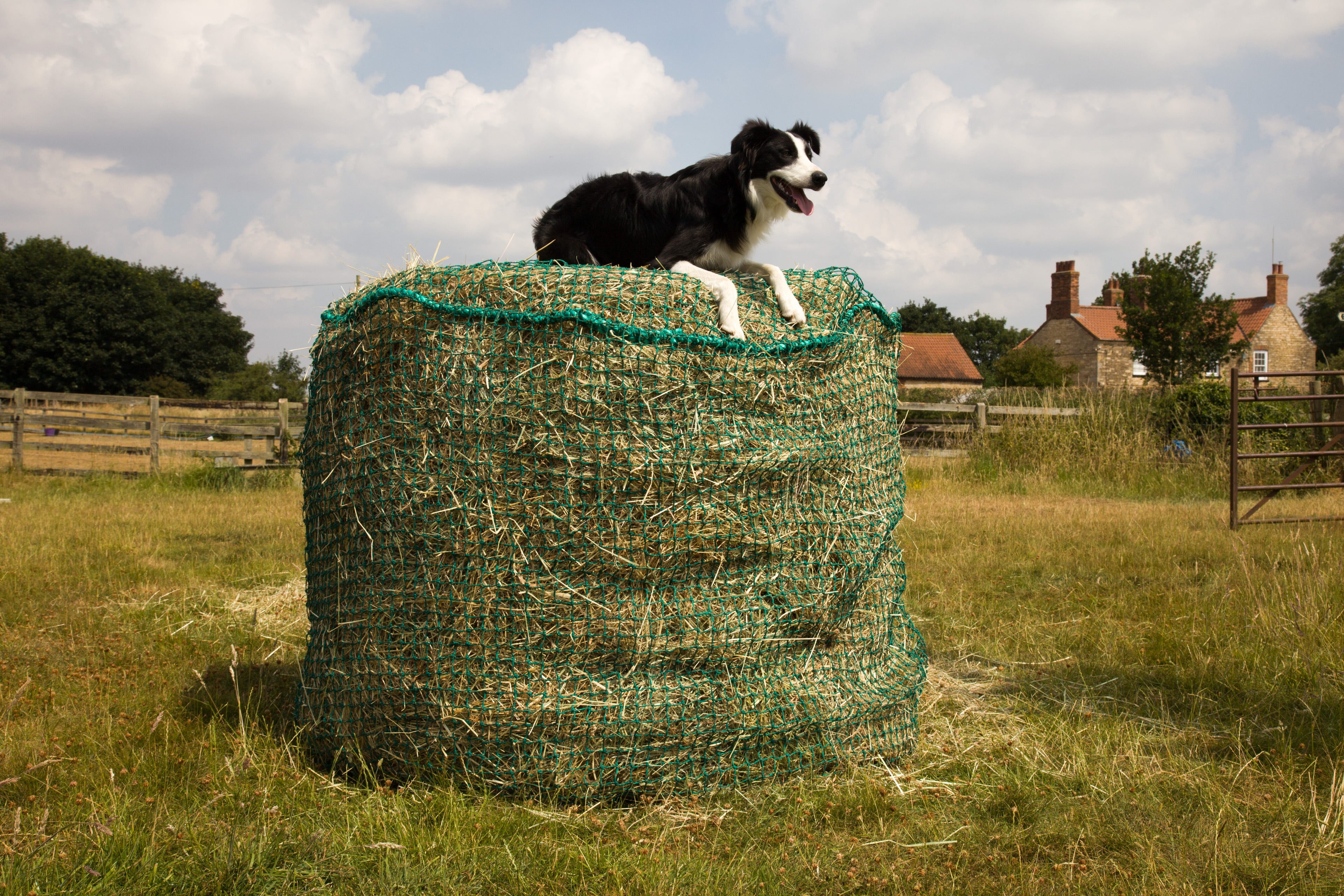 Trickle Net Large Round Bale Net
