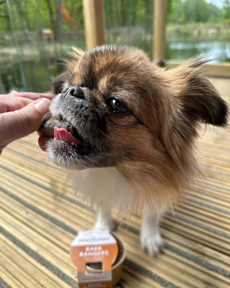 Sir Woofchesters Bark Bangers Treat Pot