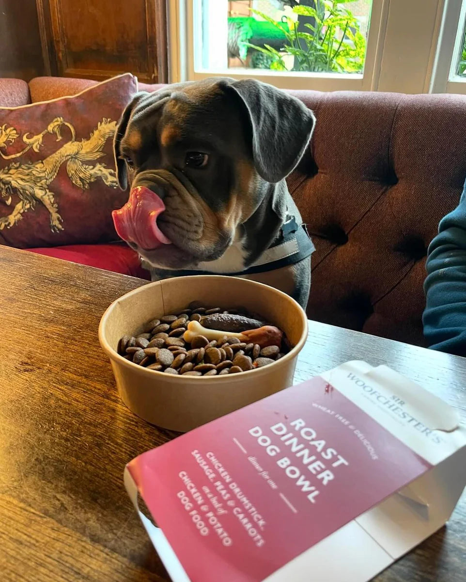 Sir Woofchesters Roast Dinner Dog Bowl