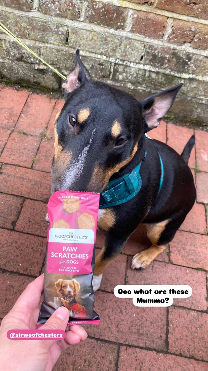 Sir Woofchesters Paw Scratchies Bar Snacks