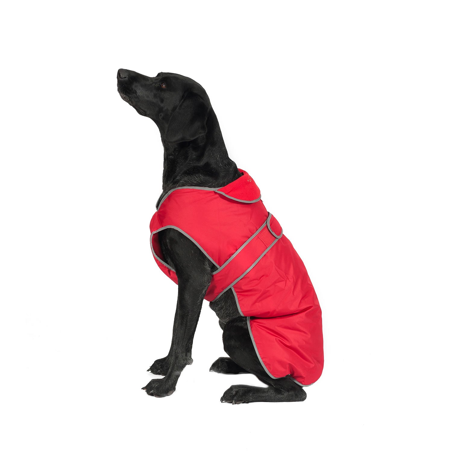 ancol-stormguard-dog-coat