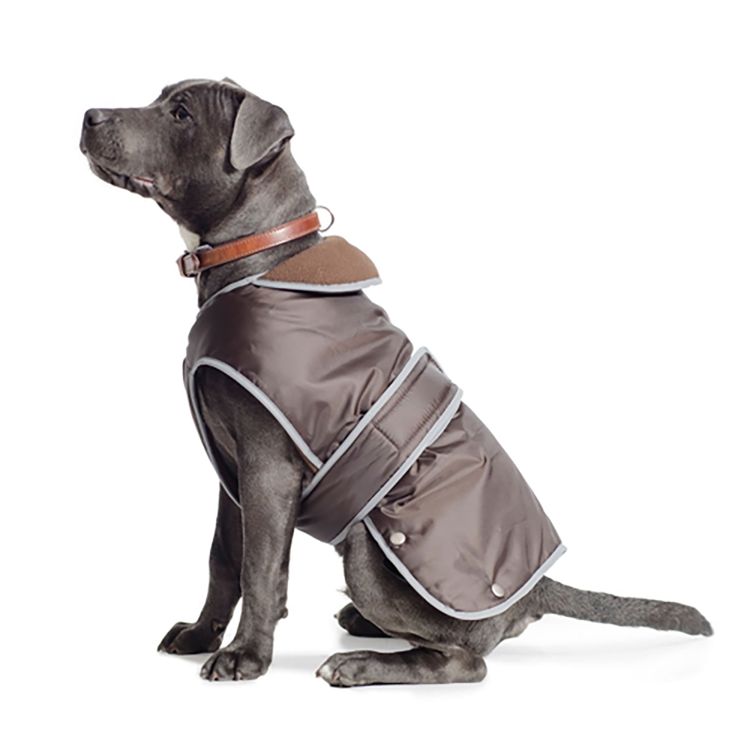 ancol-stormguard-dog-coat