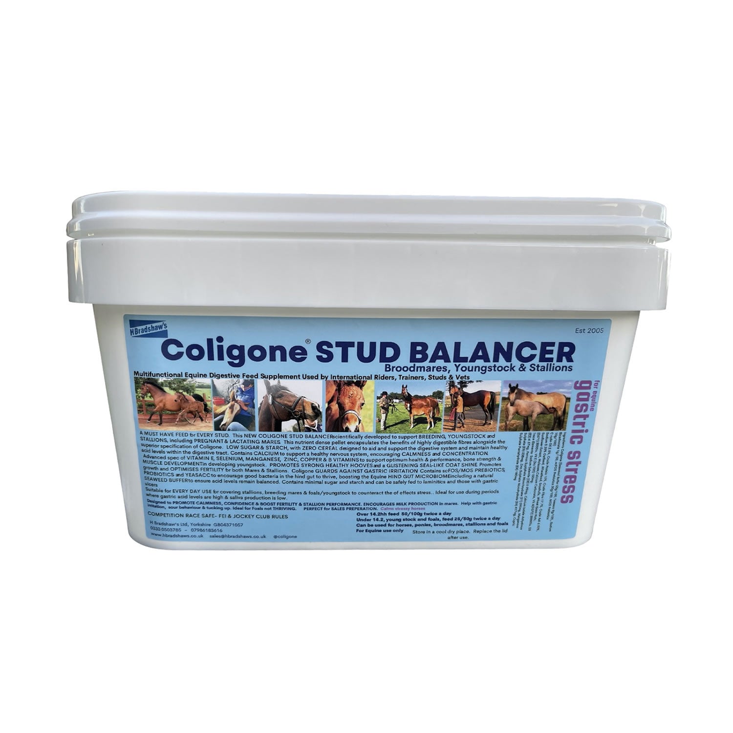 Coligone Stud Balancer