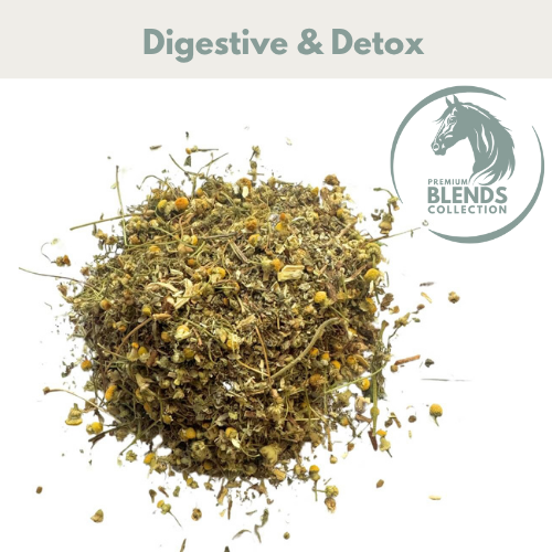 HSD Digestive Support Blend