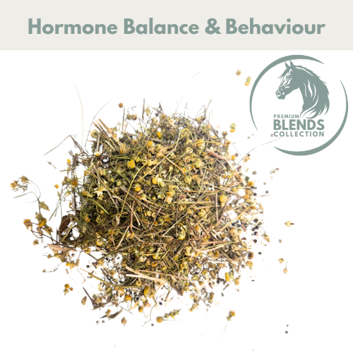 HSD Hormonal Support Blend