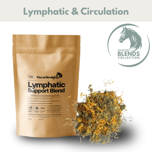 HSD Lymphatic Support Blend