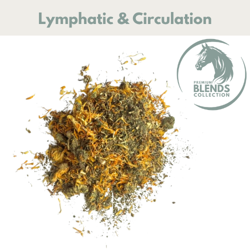 HSD Lymphatic Support Blend