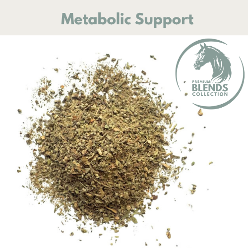 HSD Metabolic Support blend