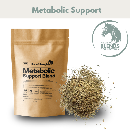 HSD Metabolic Support blend