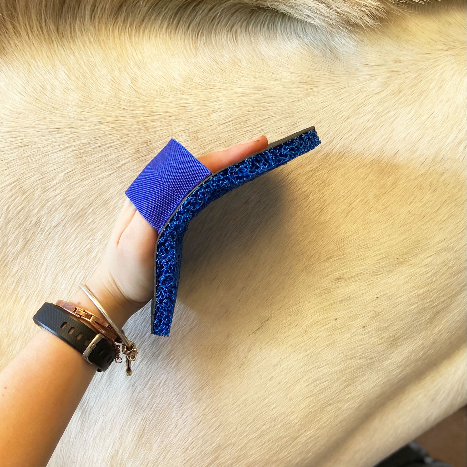 smart grooming super groomer deluxe