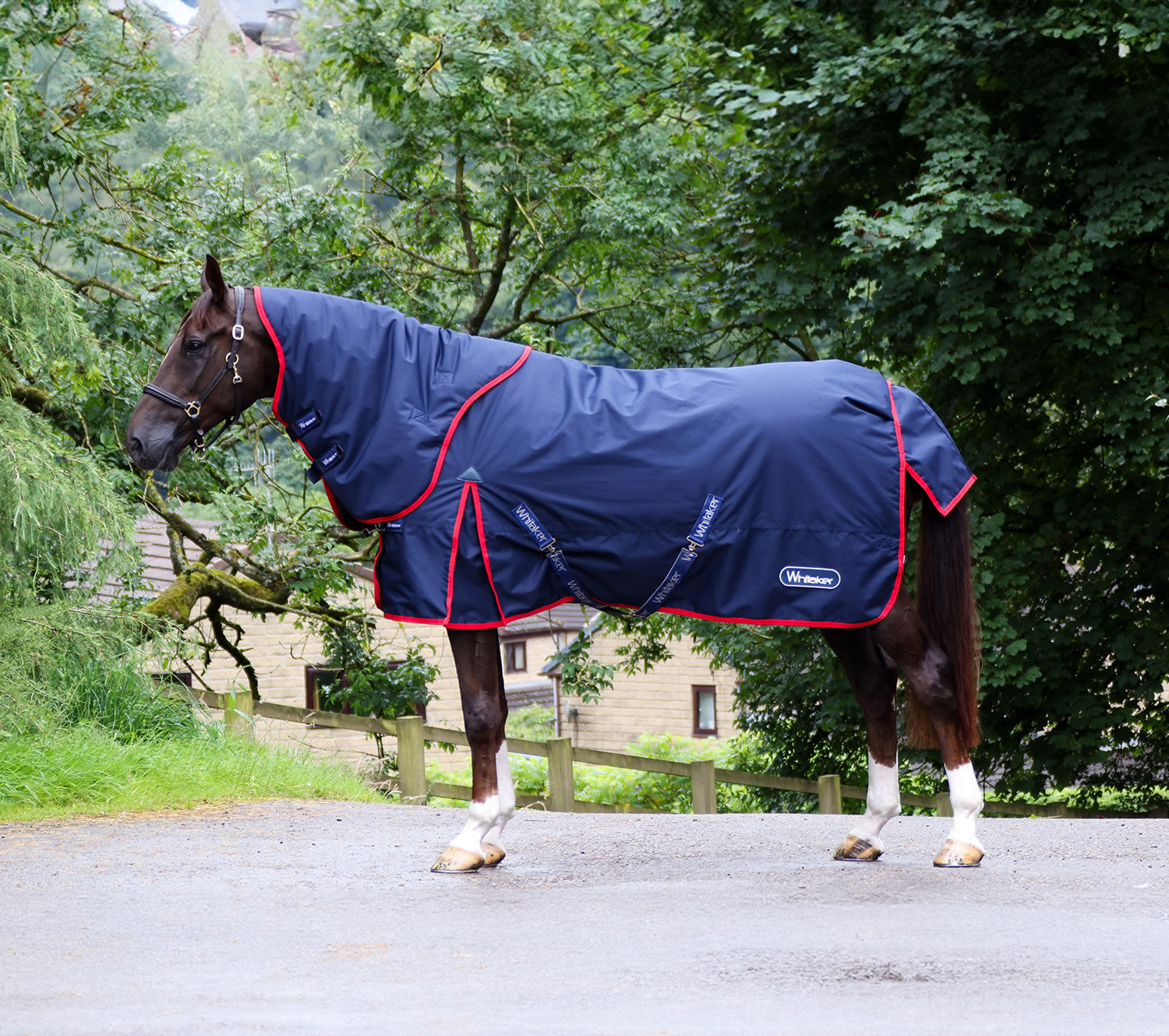 Whitaker Rastrick Turnout Rug V2 Detachable Neck Combo 250Gm