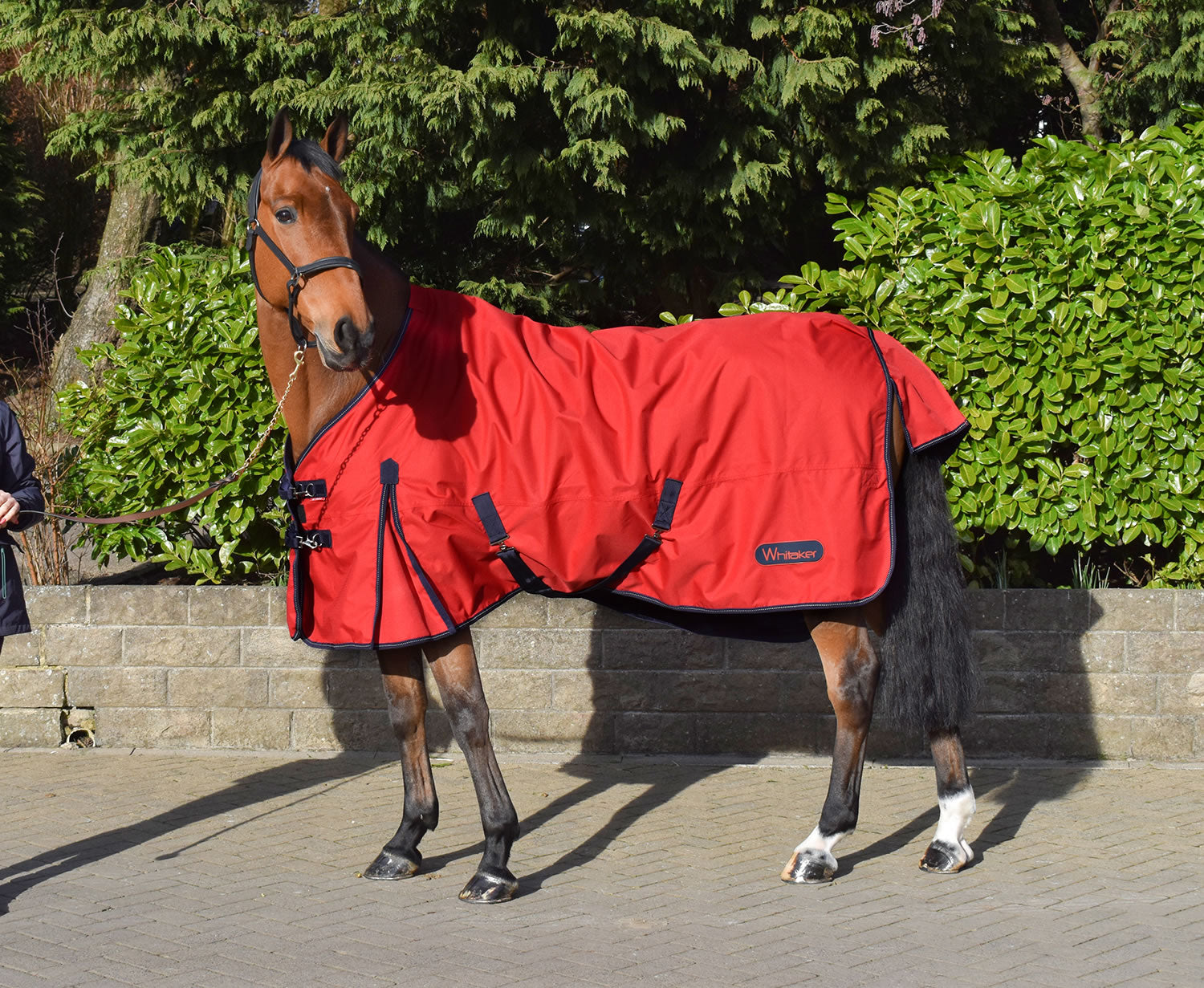 Whitaker Rastrick Turnout Rug 0Gm