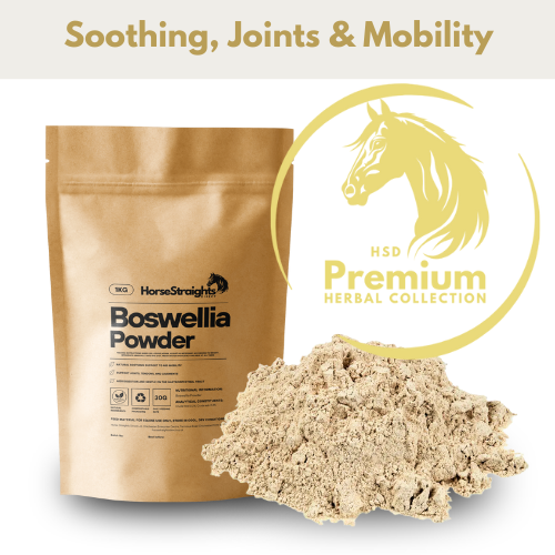 HSD Boswellia Powder