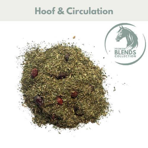 HSD Healthy Hoof Support Blend