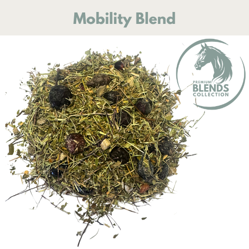 HSD Mobility Blend
