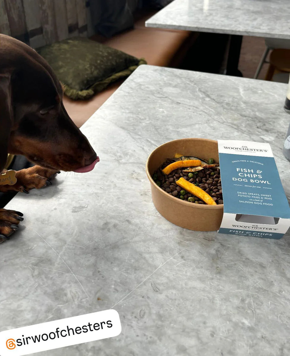Sir Woofchesters Fish & Chips Bowl