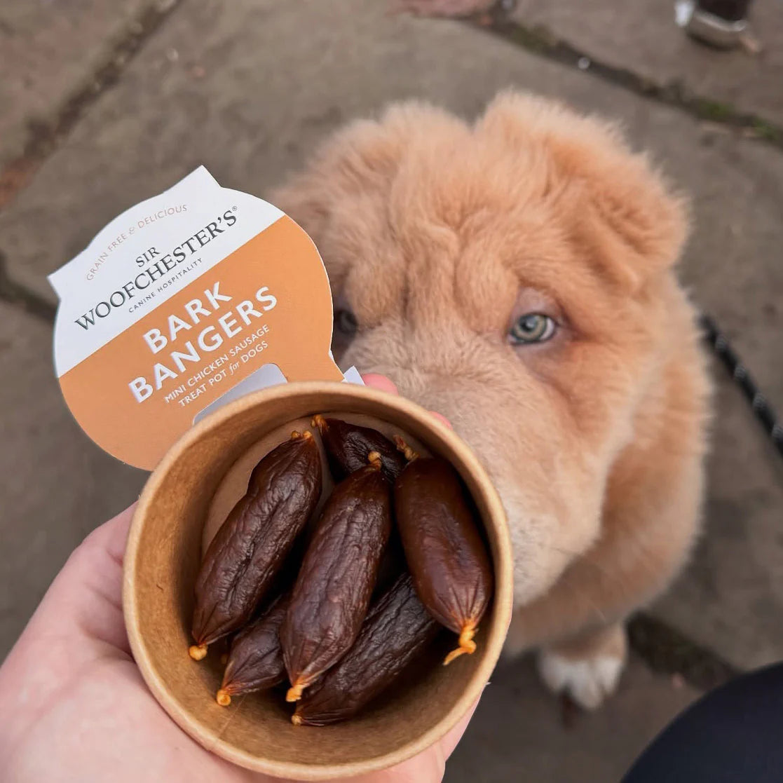 Sir Woofchesters Bark Bangers Treat Pot