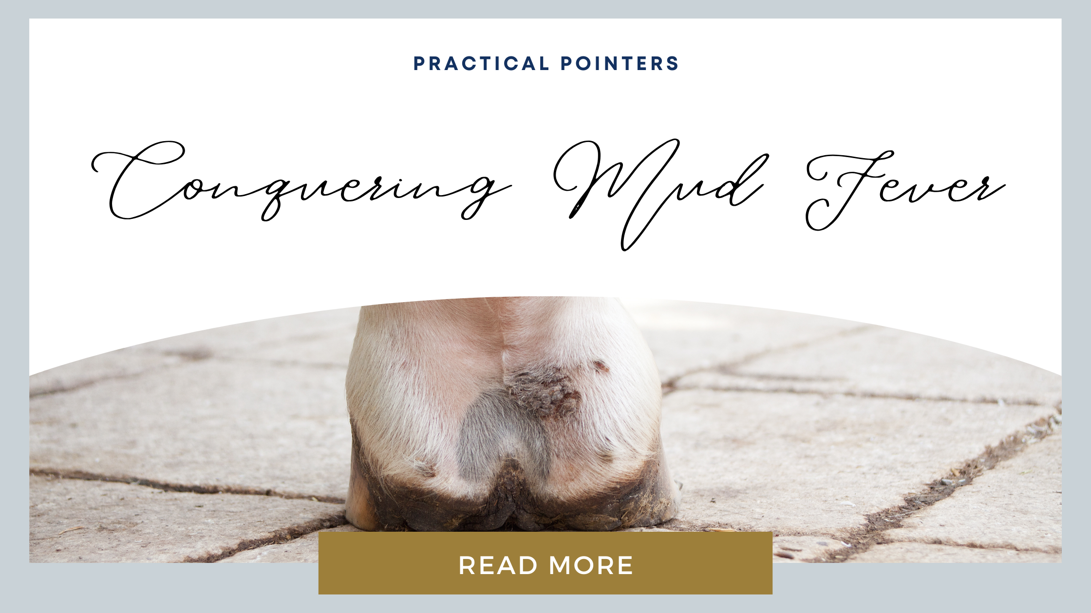 Practical Pointers: Conquering Mud Fever