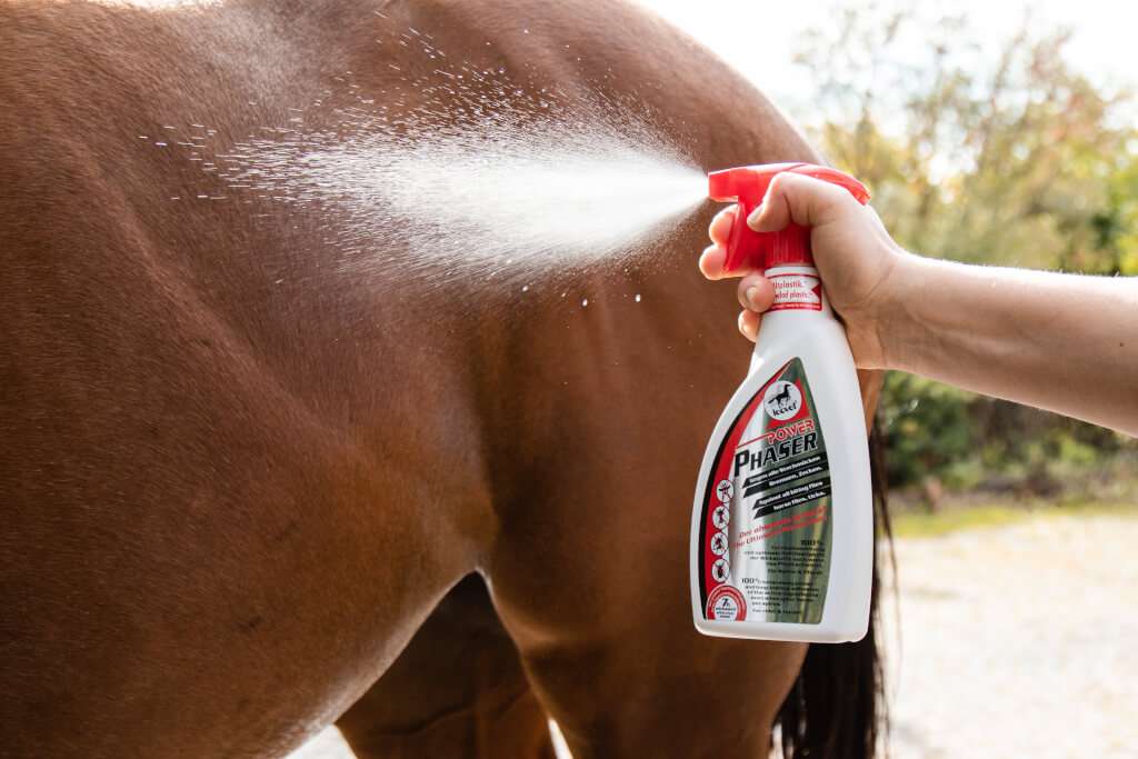 Fly Spray vs Fly Gel – What Actually Works (and What the Chaos Crew Use Daily)