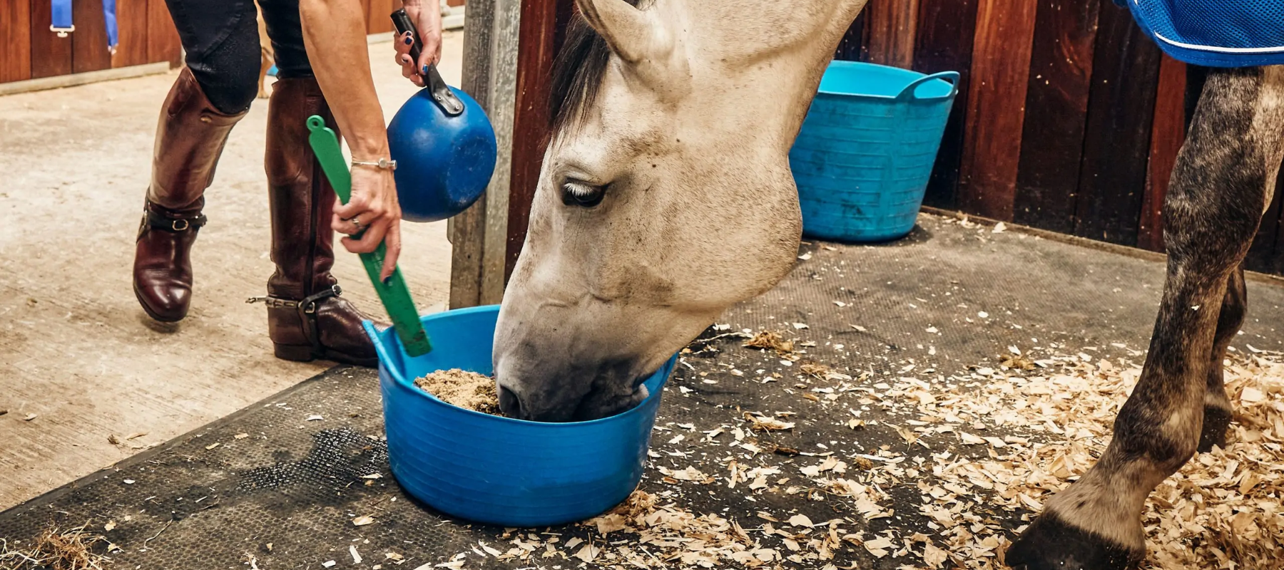 Condition, Gut & Weight Support