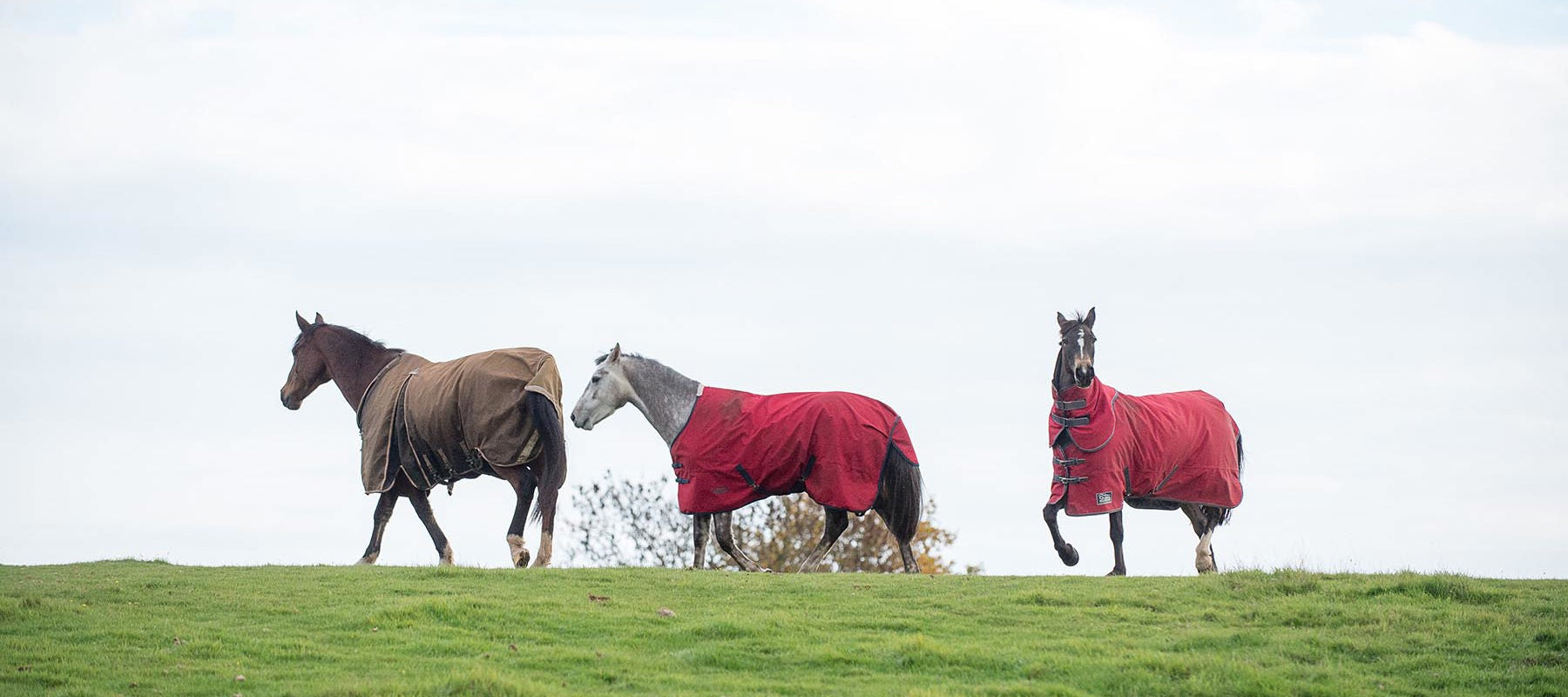 Wet Weather Essentials