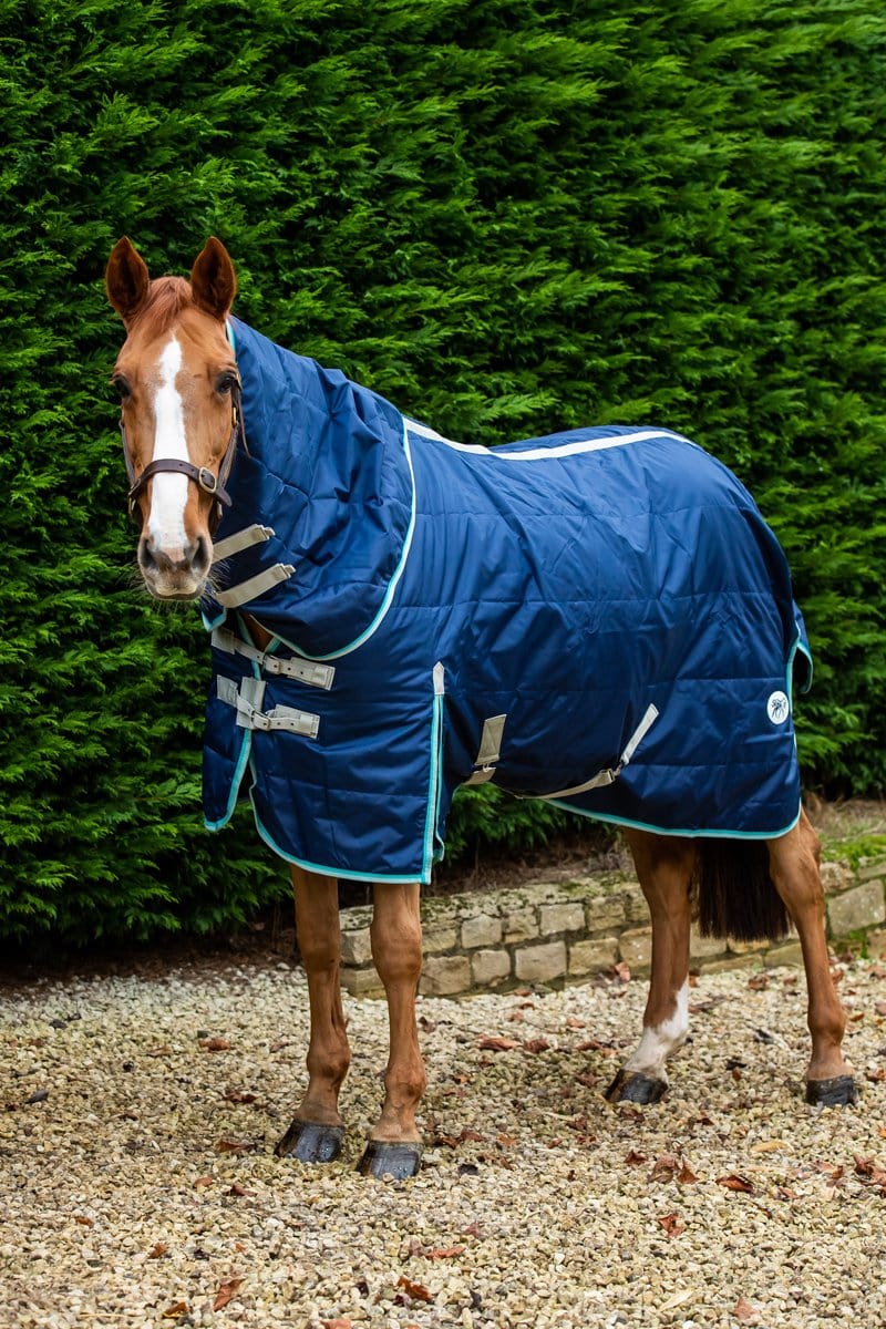 Swish 100G Stable Rug With Detachable Neck - Navy/Mint