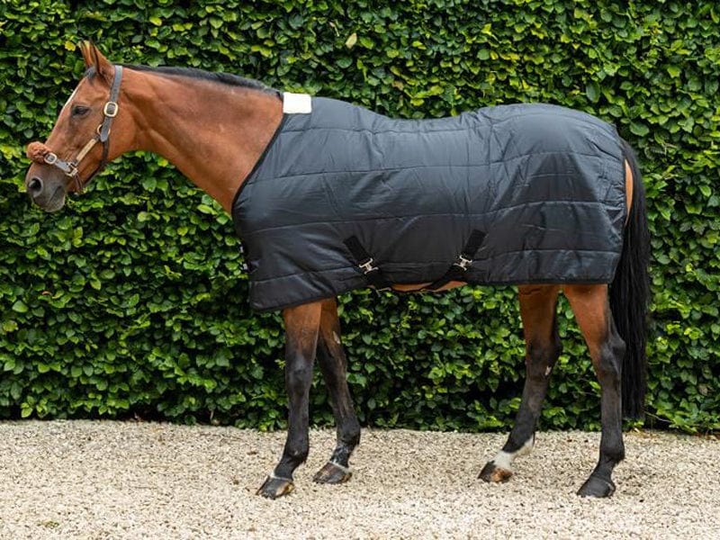 Swish 100G Horse Under Rug With Surcingles