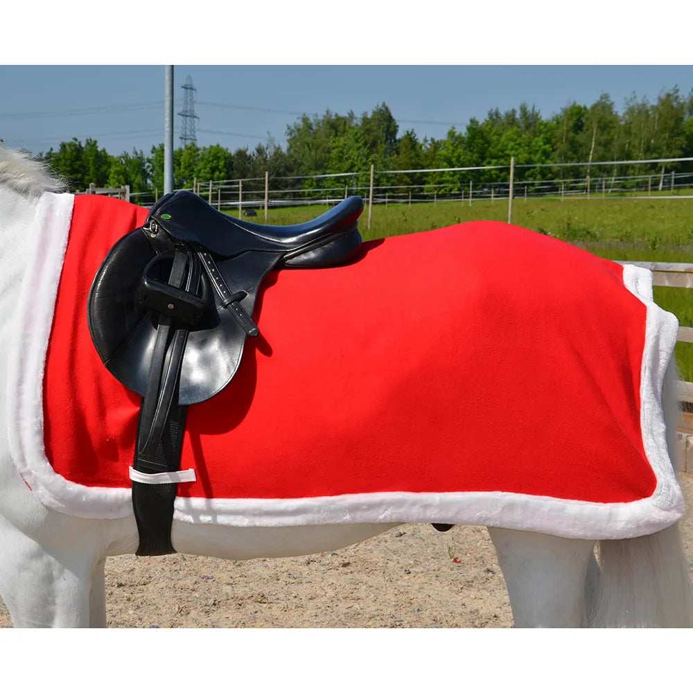 Hy Equestrian Christmas Santa Exercise Sheet for Horses