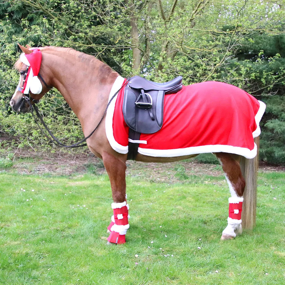 Hy Equestrian Christmas Santa Exercise Sheet for Horses