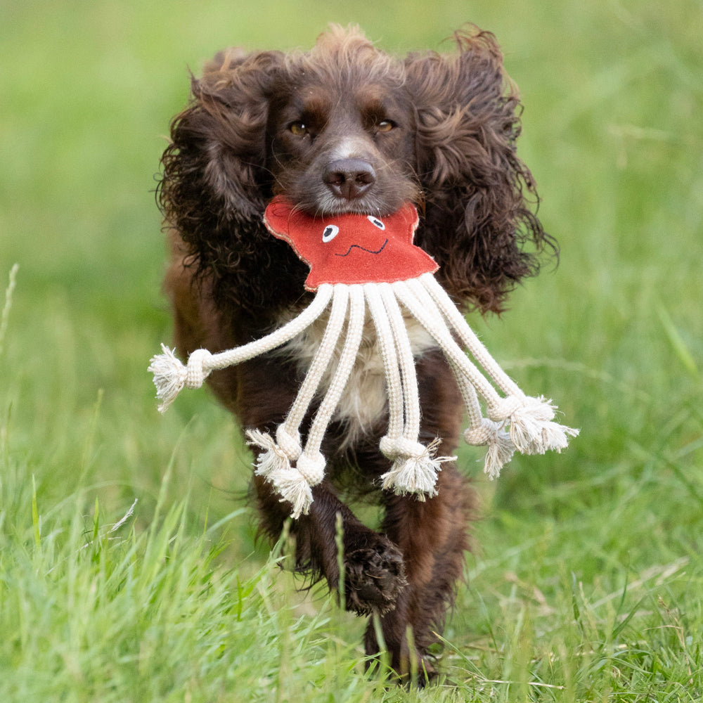 Benji & Flo Crazy Faces Dog Toys - Inky the Octopus
