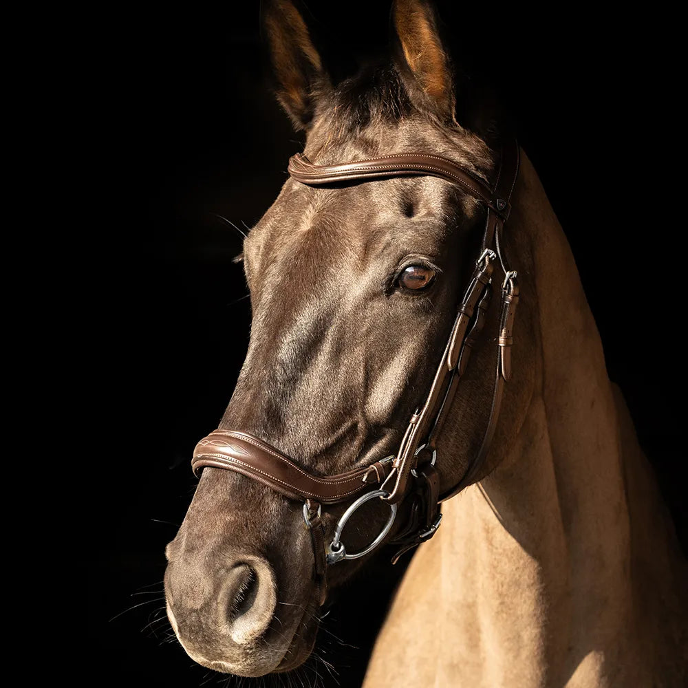 ProPresicce Pelle Drop Leather Bridle by Hy Equestrian