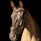 ProPresicce Pelle Drop Leather Bridle by Hy Equestrian