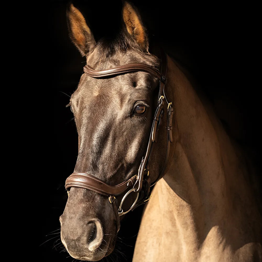 ProPresicce Pelle Drop Leather Bridle by Hy Equestrian