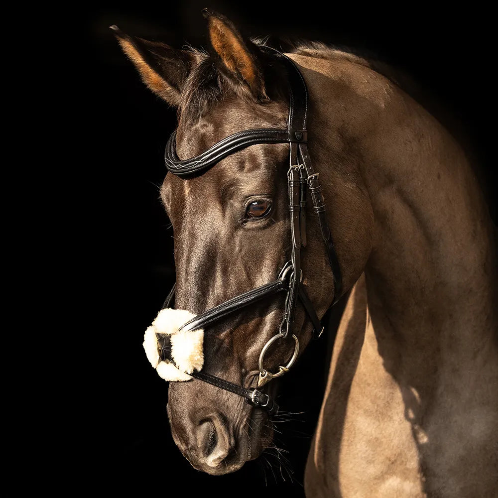 ProPresicce Pelle Grackle Leather Bridle by Hy Equestrian