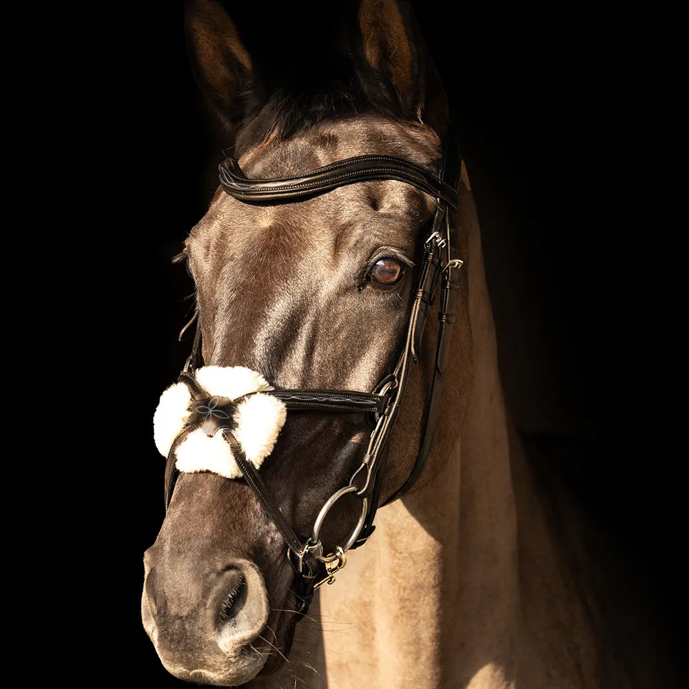 ProPresicce Pelle Grackle Leather Bridle by Hy Equestrian