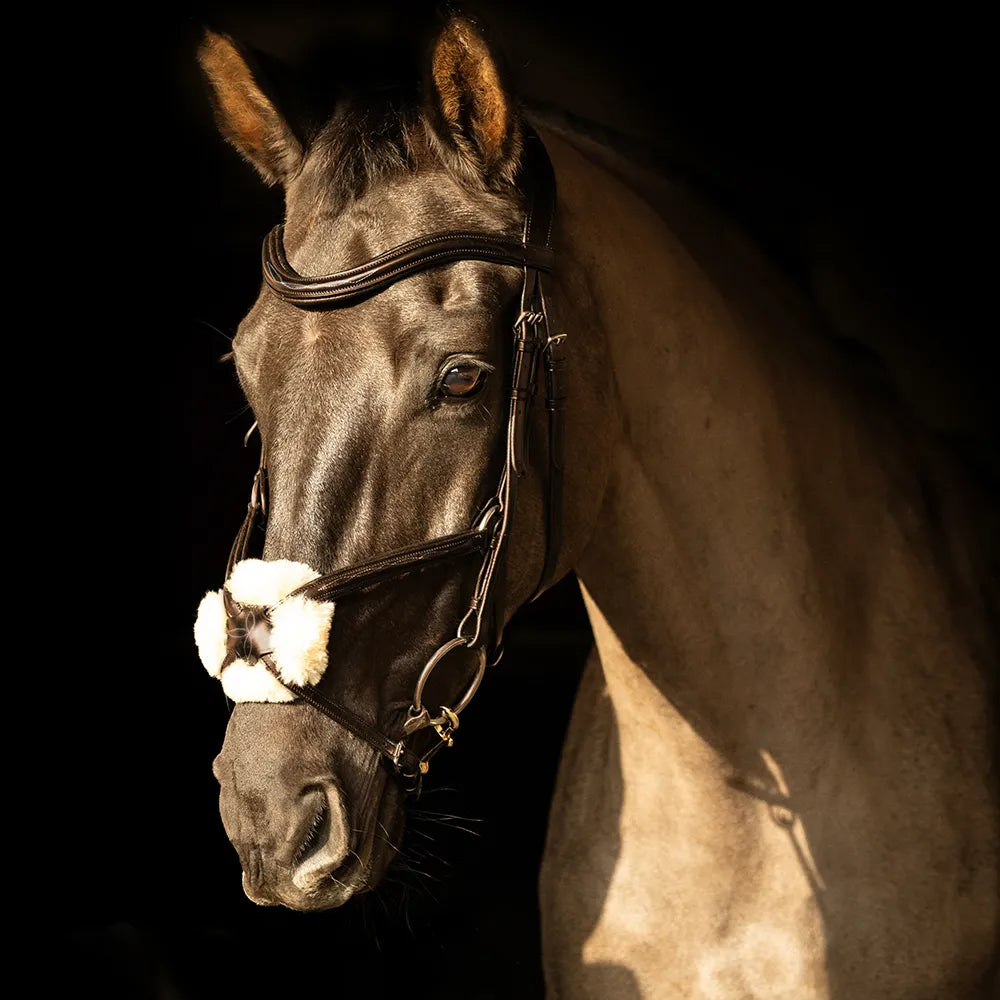 ProPresicce Pelle Grackle Leather Bridle by Hy Equestrian