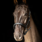 ProPresicce Softy Leather Head Collar