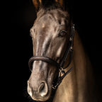 propresicce-softy-leather-head-collar