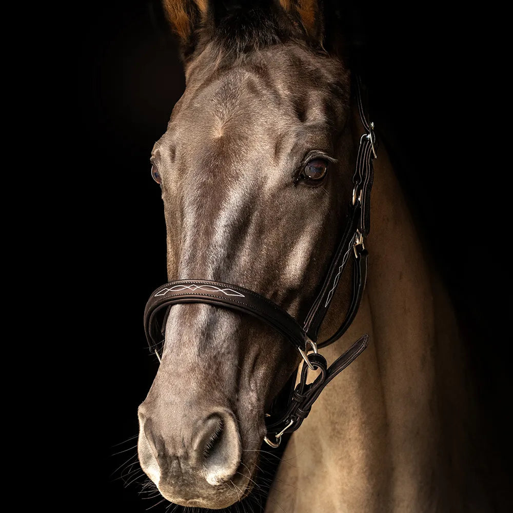 propresicce-softy-leather-head-collar