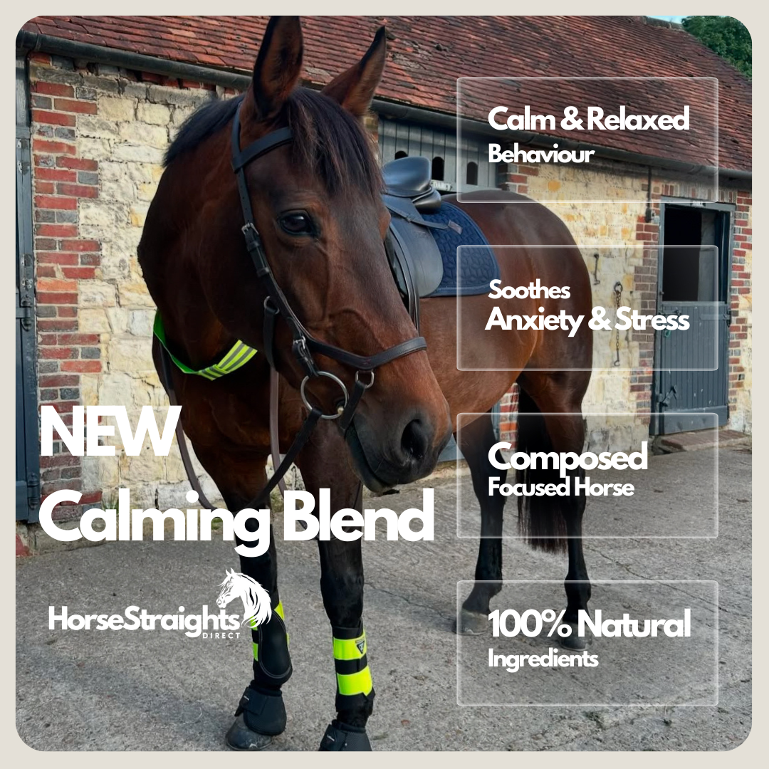 HSD Calming Blend