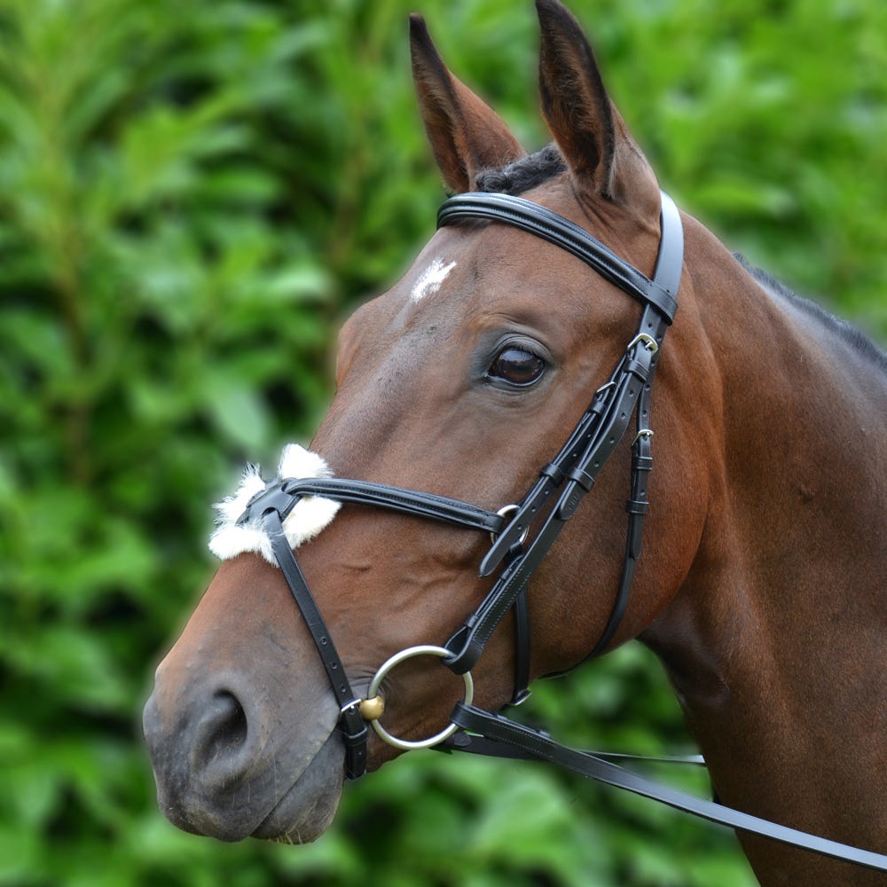 Hy Equestrian Mexican Grackle Bridle with Rubber Grip Reins - Black - Pony