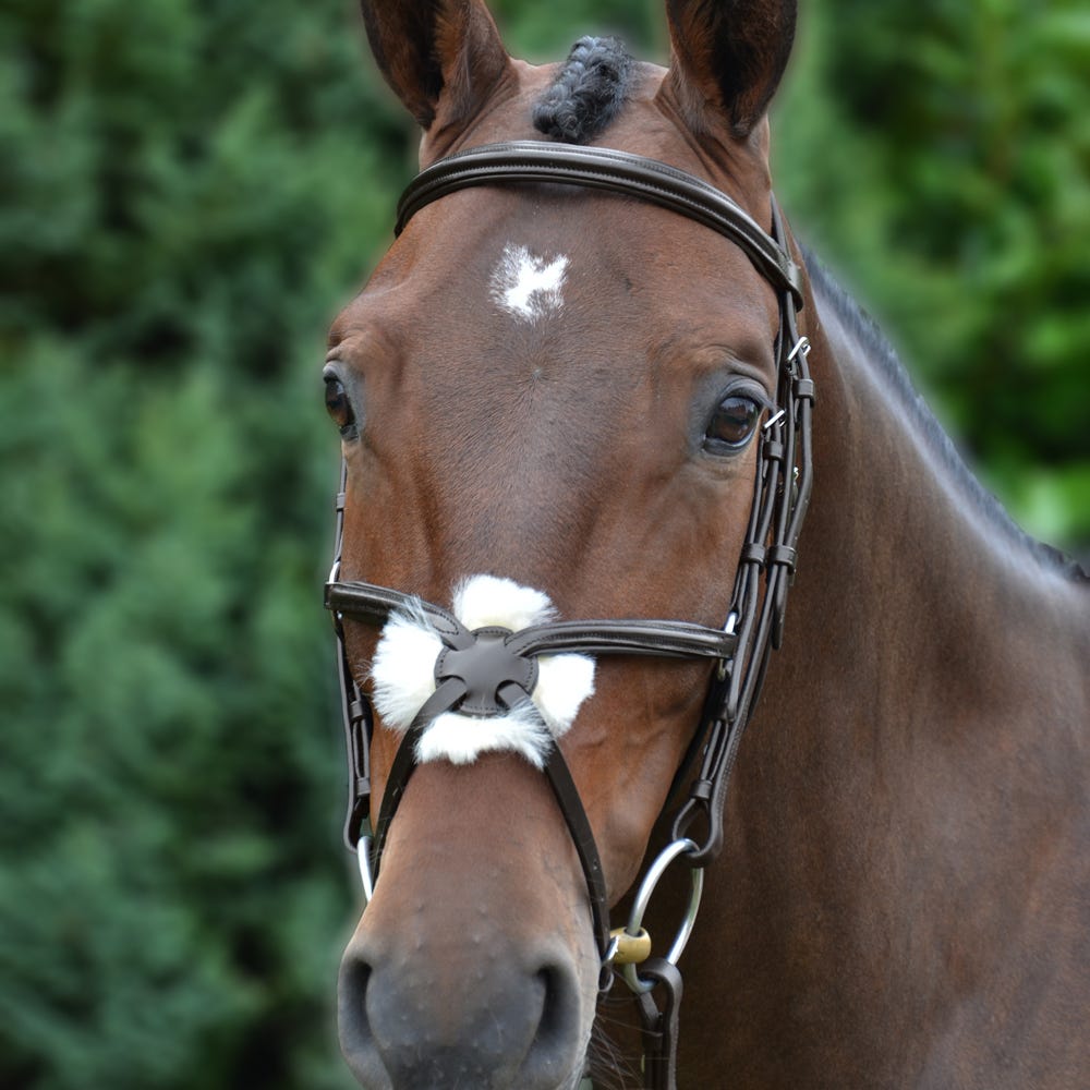 Hy Equestrian Mexican Grackle Bridle with Rubber Grip Reins - Brown - Pony