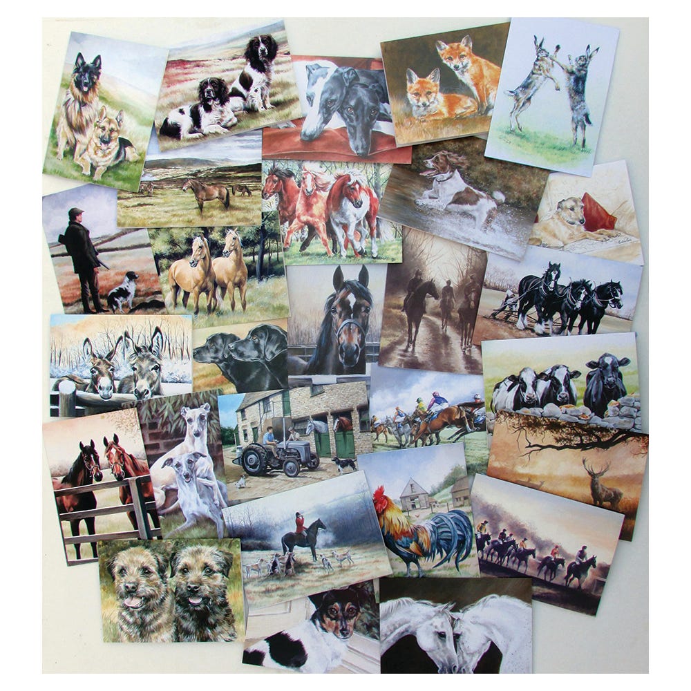 Caroline Cook Equestrian and Countryside Cards