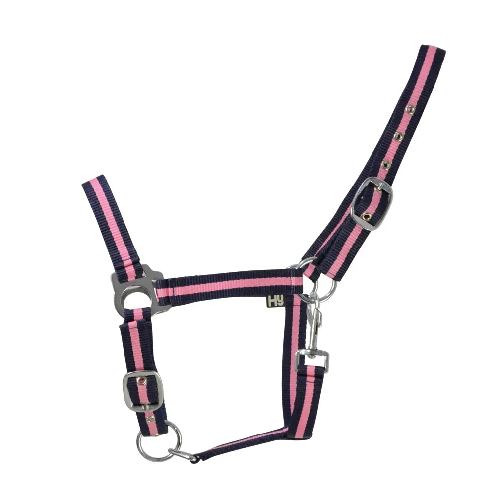 Hy Equestrian Economy Plus Two-Tone Head Collar - Navy/Baby Pink