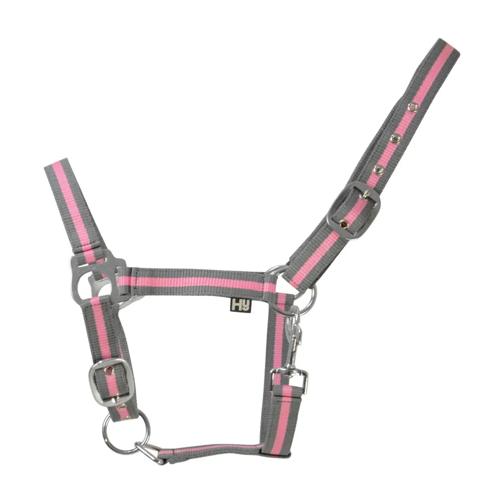 Hy Equestrian Economy Plus Two-Tone Head Collar - Grey/Baby Pink