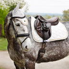 Coldstream Marygold Fly Veil for Horses