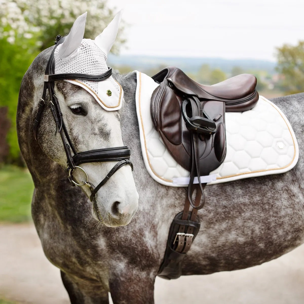 Coldstream Marygold Fly Veil for Horses