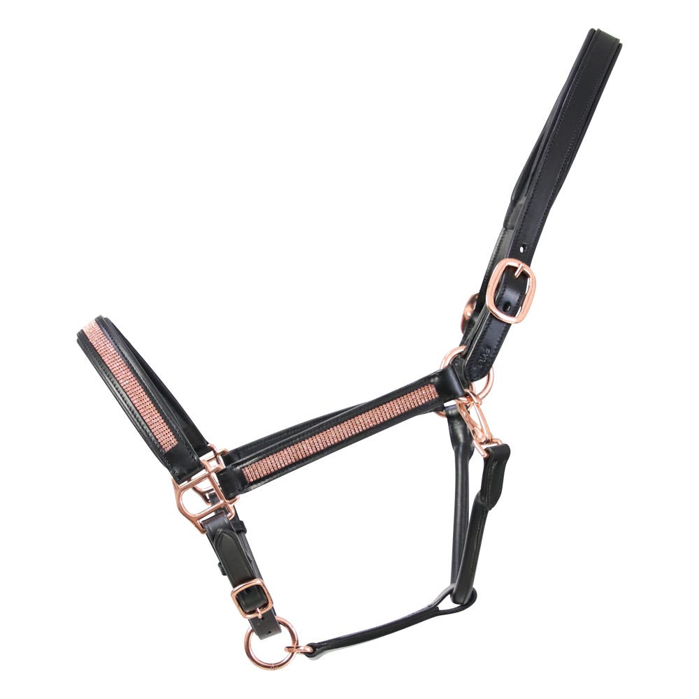 Hy Equestrian Rosciano Rose Gold Head Collar - Black/Rose Gold - Full