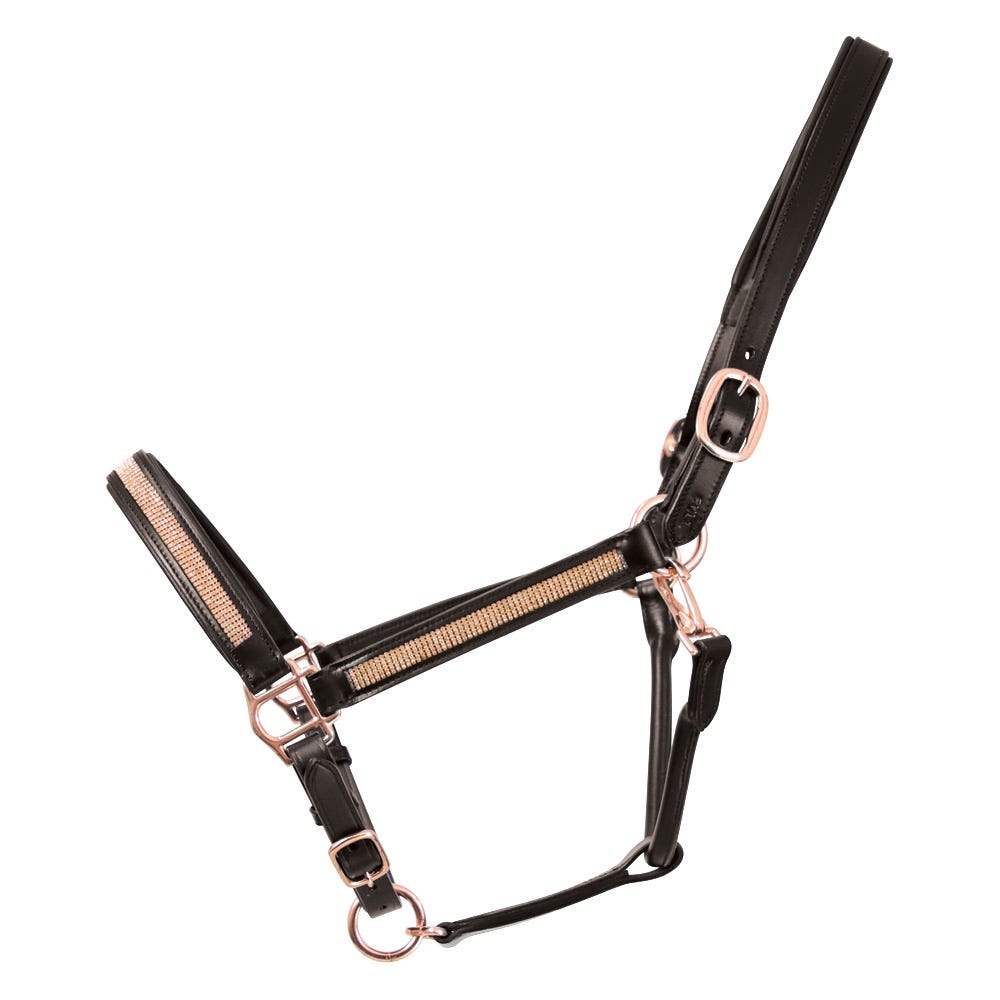 Hy Equestrian Rosciano Rose Gold Head Collar - Brown/Rose Gold - Full